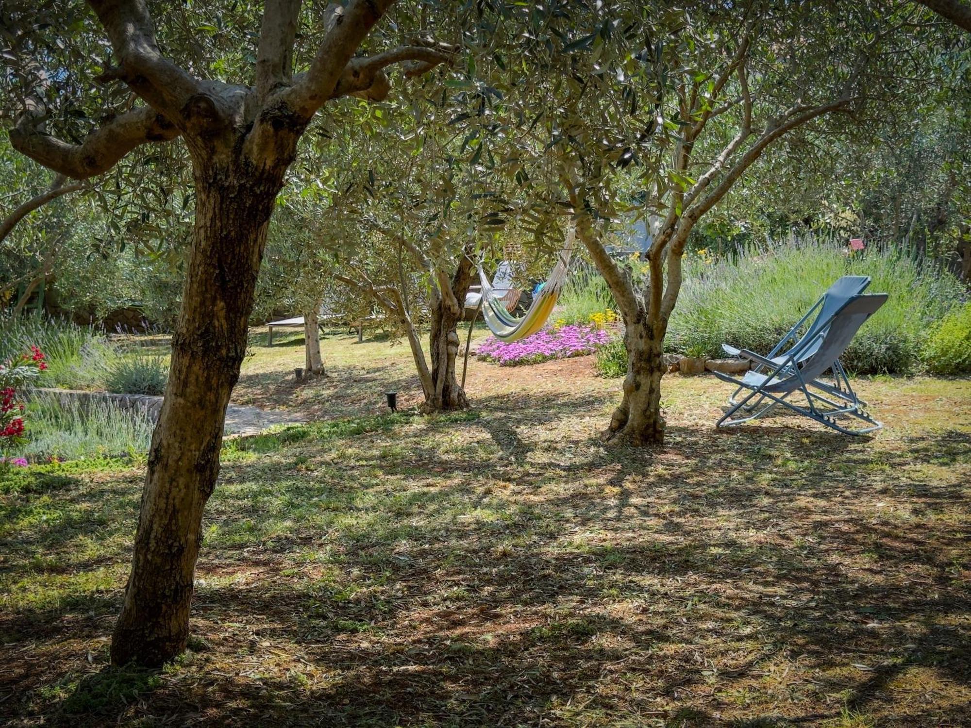 Holiday Home Lavanda Kornic Ngoại thất bức ảnh